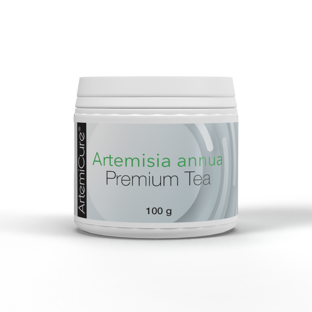 Artemisia Tee, einjährigen Beifuß Tee, aus den Blättern, ohne Stängel oder Strung