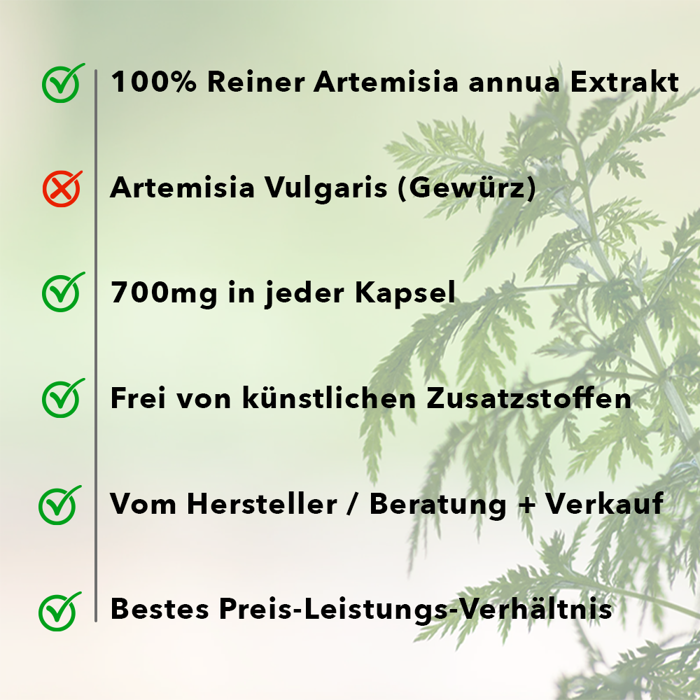 Artemisia annua - 30:1 Pflanzenextrakt - 200 Kapseln