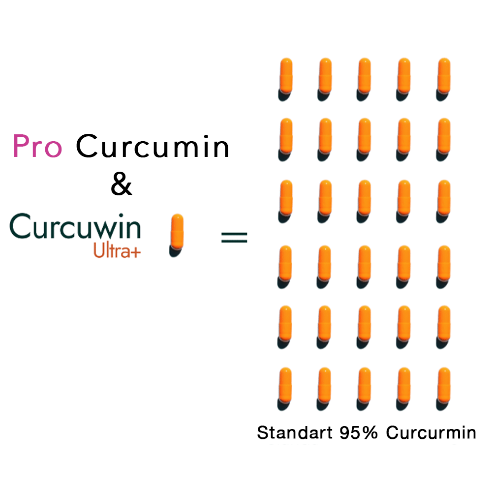 12:1 Pro-Curcumin Extrakt - 200mg - 120 Kapseln